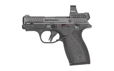 S&W BDYGRD 2.0 RFX1 380ACP 10RD TS